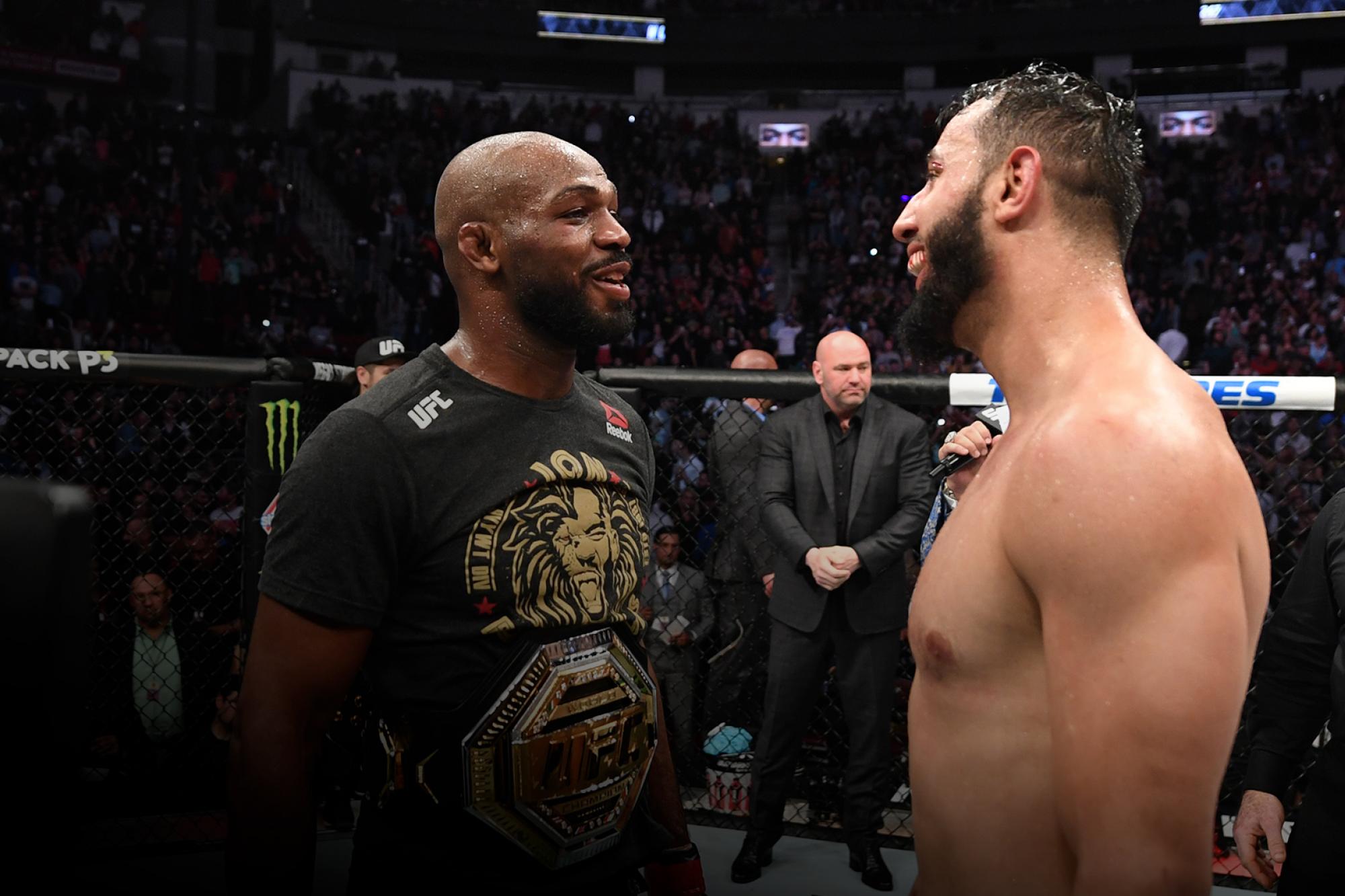 Where We Stand Light Heavyweight Division UFC